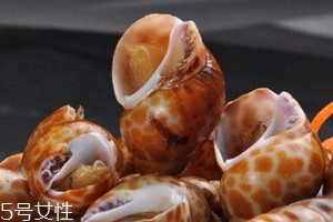 ?花螺為什么那么貴 花螺多少錢(qián)一斤2018 ?花螺為什么那么貴 花螺多少錢(qián)一斤2018