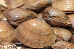河蚌什么人不能吃 吃河蚌注意事項(xiàng) 河蚌什么人不能吃 吃河蚌注意事項(xiàng)