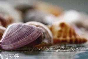 河蚌死了能吃嗎 河蚌怎么分辨活與死 河蚌死了能吃嗎 河蚌怎么分辨活與死