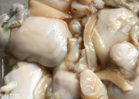 河蚌肉怎么保存 河蚌可以放冰箱嗎 河蚌肉怎么保存 河蚌可以放冰箱嗎