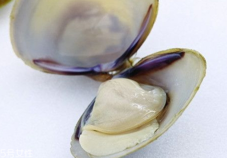 河蚌肉怎么保存 河蚌可以放冰箱嗎 河蚌肉怎么保存 河蚌可以放冰箱嗎