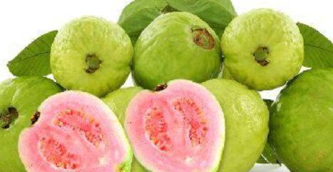 紅心芭樂(lè)的功效與作用 紅心芭樂(lè)的營(yíng)養(yǎng) 紅心芭樂(lè)的功效與作用 紅心芭樂(lè)的營(yíng)養(yǎng)