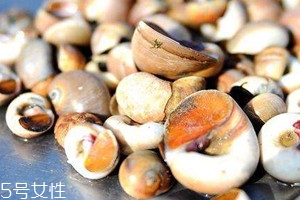 香螺哪些部位不能吃 哪些人不能吃香螺 香螺哪些部位不能吃 哪些人不能吃香螺