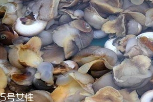 香螺死了還可以吃嗎 香螺發(fā)臭還能吃嗎 香螺死了還可以吃嗎 香螺發(fā)臭還能吃嗎