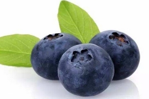 花青素是雌激素嗎？花青素是什么？