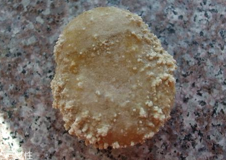 狗寶怎么賣(mài) 狗寶的保存方法 狗寶怎么賣(mài) 狗寶的保存方法