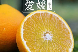 愛媛38號(hào)是橙子還是橘子？愛媛38號(hào)適合哪里種植？