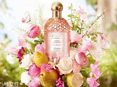 嬌蘭皇后的秘密香水多少錢 嬌蘭高端限量香水皇后的秘密 嬌蘭皇后的秘密香水多少錢 嬌蘭高端限量香水皇后的秘密