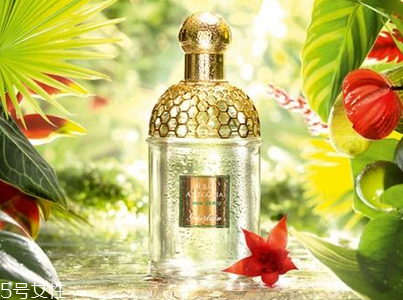 嬌蘭皇后的秘密香水多少錢 嬌蘭高端限量香水皇后的秘密 嬌蘭皇后的秘密香水多少錢 嬌蘭高端限量香水皇后的秘密