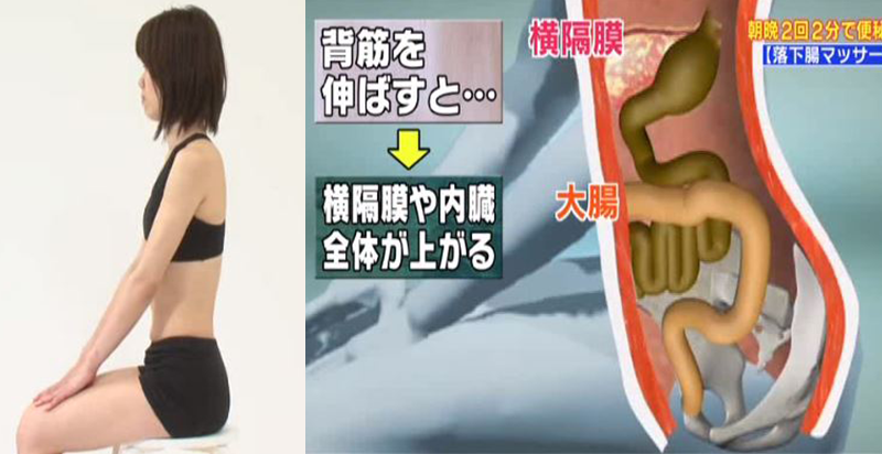 有助排便的瑜伽動作 促進(jìn)排便的瑜伽動作 有助排便的瑜伽動作 促進(jìn)排便的瑜伽動作