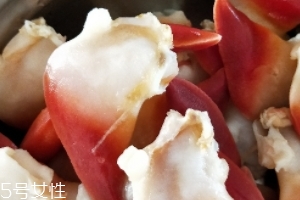 北極貝可以涮火鍋嗎？北極貝可以下火鍋吃嗎？