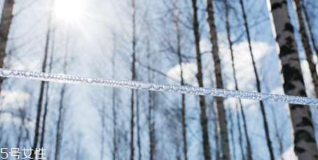 樺樹汁好喝嗎 樺樹汁怎么喝 樺樹汁好喝嗎 樺樹汁怎么喝
