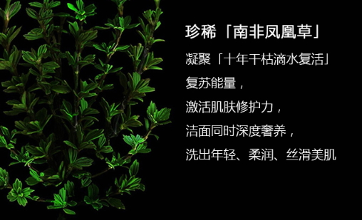 阿瑪尼洗面奶怎么樣？阿瑪尼洗面奶評(píng)測(cè)