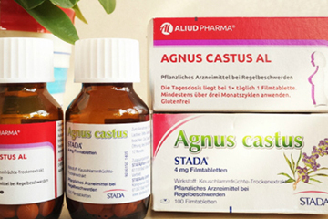 孕婦可以吃圣潔莓嗎？備孕期間可以吃圣潔莓嗎