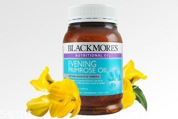 月見草膠囊的成分 月見草膠囊有哪些成分？