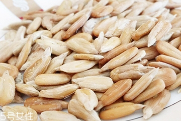 葵瓜子能多吃嗎？吃多了葵瓜子會怎樣？