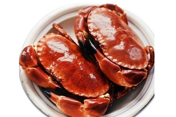 面包蟹為什么那么難吃？為什么說面包蟹很難吃？