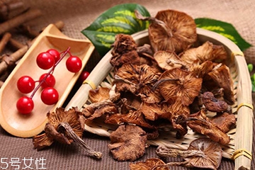 榛蘑的好處 榛蘑對人有什么益處？