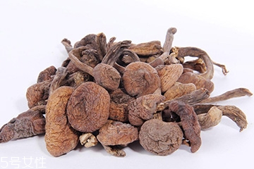 榛蘑的宜忌人群 哪些人適合吃榛蘑？