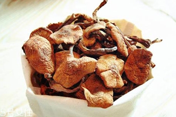 榛蘑多久能成熟？榛蘑的成熟期