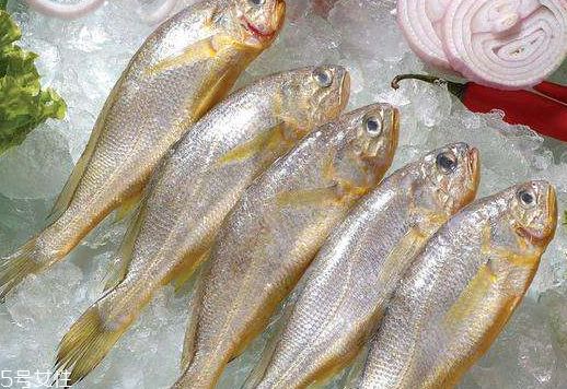 黃花魚是發(fā)物嗎？黃花魚是涼性的嗎？