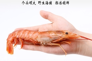 阿根廷紅蝦為什么便宜？阿根廷紅蝦有假的嗎？
