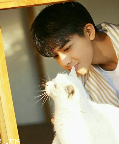 2022男生染什么顏色頭發(fā)好看 2022男生染發(fā)流行顏色 2022男生染什么顏色頭發(fā)好看 2022男生染發(fā)流行顏色