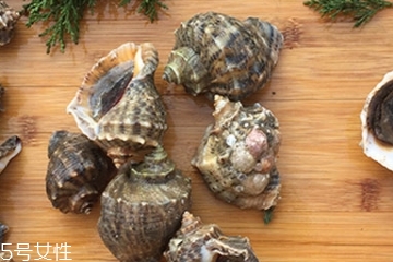 海螺會中毒嗎？吃海螺中毒多久會緩解？