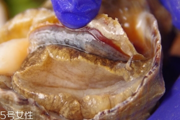 海螺可以隔夜吃嗎？海螺煮熟隔夜能吃嗎？