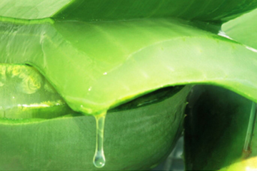 蘆薈水哪個牌子好？蘆薈爽膚水品牌推薦