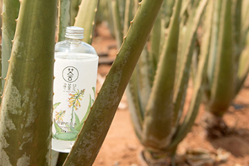 尋薈記蘆薈水怎么樣？尋薈記蘆薈水使用心得