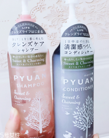 花王洗發(fā)水有哪些系列 花王洗發(fā)水有哪些系列