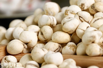 川貝母的功效和作用 潤肺止咳化痰平喘 川貝母的功效和作用 潤肺止咳化痰平喘