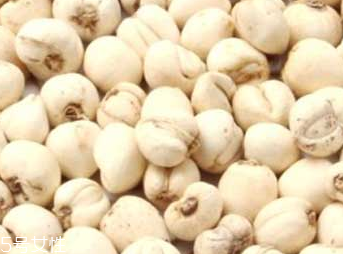 川貝母的功效和作用 潤(rùn)肺止咳化痰平喘 川貝母的功效和作用 潤(rùn)肺止咳化痰平喘