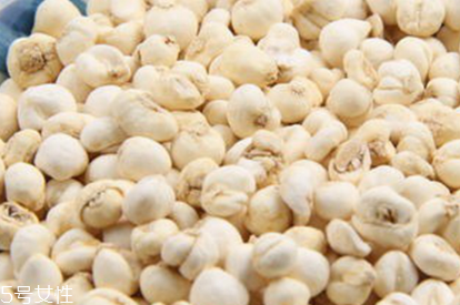 川貝母治咳嗽嗎 川貝母可以治咳嗽 川貝母治咳嗽嗎 川貝母可以治咳嗽