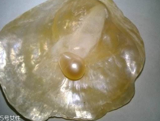 珍珠粉里有哪些成分 成分一覽 珍珠粉里有哪些成分 成分一覽