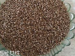 紫蘇子的食用禁忌 三大食用禁忌請(qǐng)注意 紫蘇子的食用禁忌 三大食用禁忌請(qǐng)注意