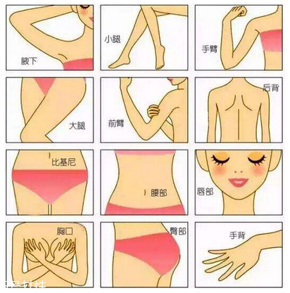 超冰脫毛原理 高科技脫毛手法 超冰脫毛原理 高科技脫毛手法