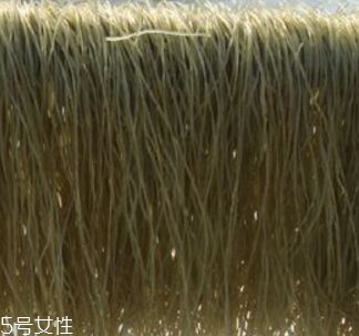 鴨血粉絲湯里的粉絲對(duì)身體有好處 鴨血粉絲湯里的粉絲對(duì)身體有好處