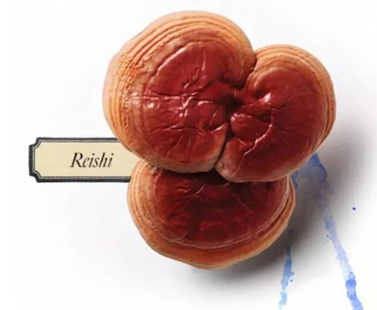 爽膚水哪個牌子好用 2022零差評的五款爽膚水推薦 爽膚水哪個牌子好用 2022零差評的五款爽膚水推薦