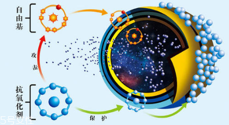 油性皮膚怎么抗氧化 拯救初老臉3步曲 油性皮膚怎么抗氧化 拯救初老臉3步曲
