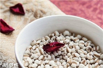 薏仁能祛濕嗎 怎么吃效果最好 薏仁能祛濕嗎 怎么吃效果最好