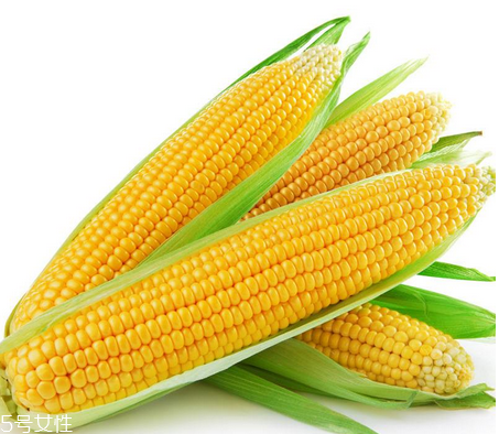 玉米油是怎么榨的 原來是這樣 玉米油是怎么榨的 原來是這樣