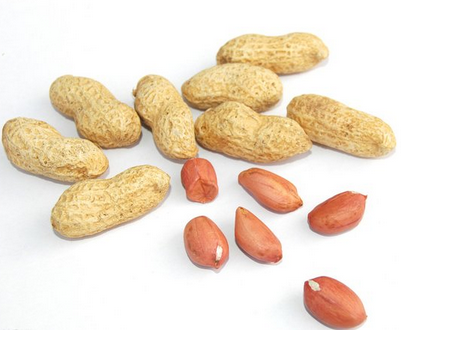 花生油保質(zhì)期 一般18個(gè)月 花生油保質(zhì)期 一般18個(gè)月