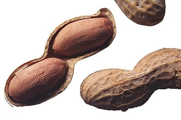 花生油是植物油嗎 屬于這個(gè)范疇 花生油是植物油嗎 屬于這個(gè)范疇