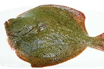 多寶魚(yú)有魚(yú)鱗嗎 不多但是有 多寶魚(yú)有魚(yú)鱗嗎 不多但是有