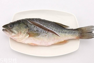 鱸魚(yú)可以做湯嗎 做湯很鮮美 鱸魚(yú)可以做湯嗎 做湯很鮮美