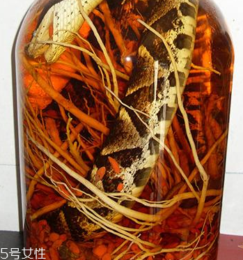 藥酒去濕氣效果好嗎 泡對了才有效 藥酒去濕氣效果好嗎 泡對了才有效