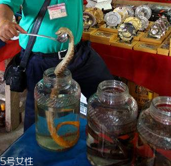 藥酒太苦可以加蜂蜜嗎 加的時(shí)機(jī)很重要 藥酒太苦可以加蜂蜜嗎 加的時(shí)機(jī)很重要