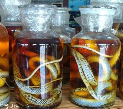 藥酒用什么酒泡好 泡藥酒必看 藥酒用什么酒泡好 泡藥酒必看